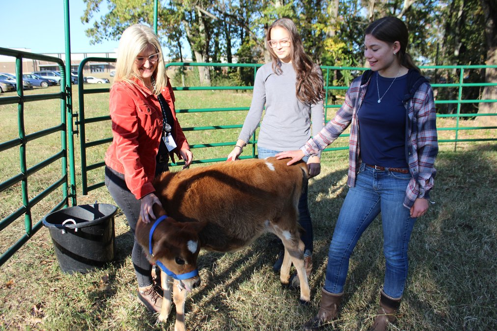 How Denmark’s vet science program continues to grow with new events