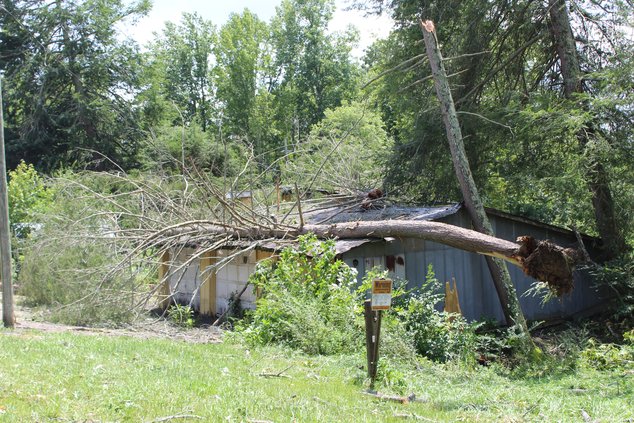 Storm damage