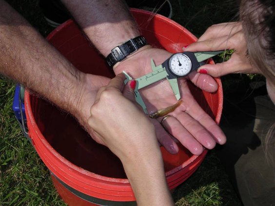 08202023ENDANGERED SPECIES