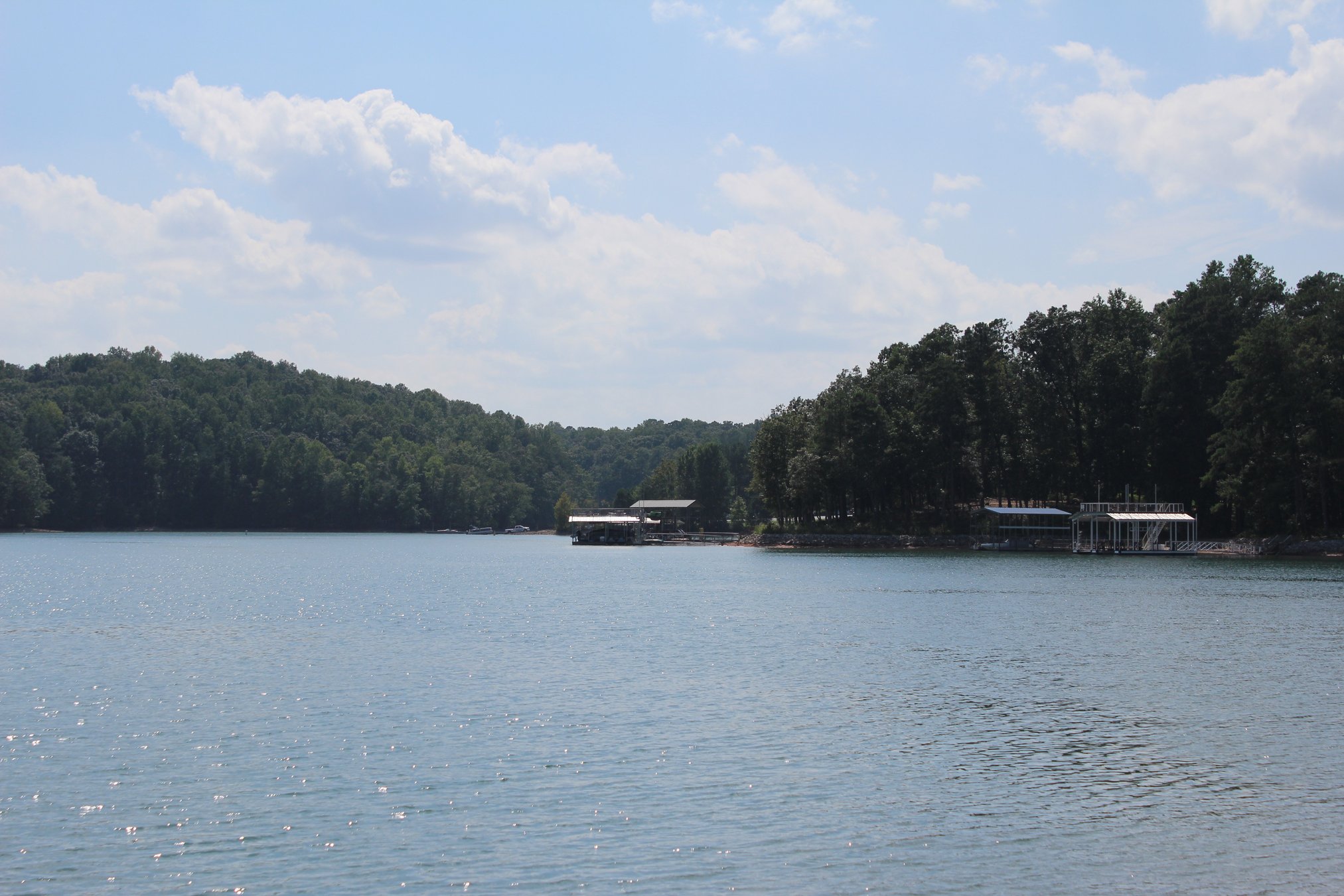 Exposing the Real Faces of Forsyth County: Uncovering the Truth Behind the Jail Mugshots