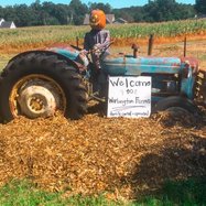 warbington farms fall
