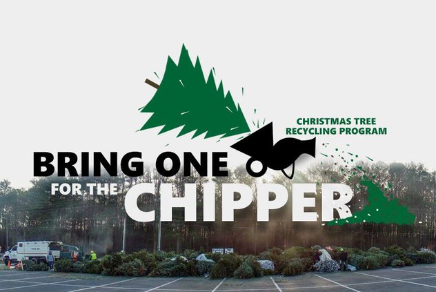 CHIPPER 1.jpg