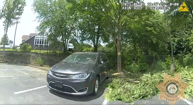 Woman accused of leaving dogs to die inside locked van indicted on ...
