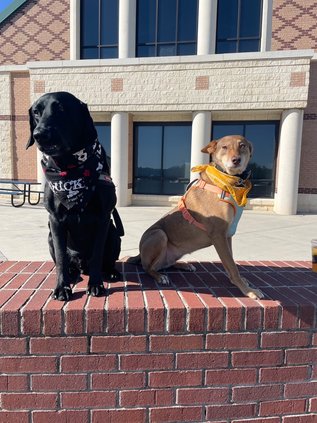 10222024FCS THERAPY DOGS