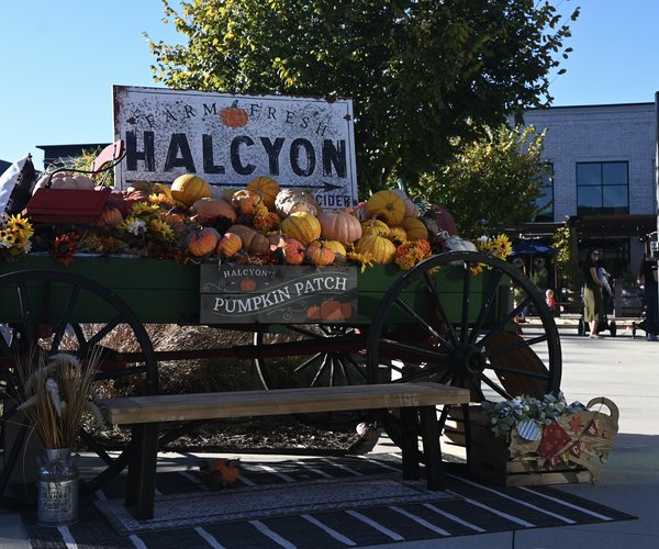 10222024HALCYON FALL DECOR