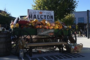 10222024HALCYON FALL DECOR