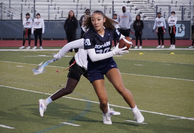 11222024 DENMARK FLAG