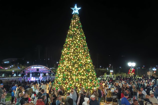 11242024TREE LIGHTING