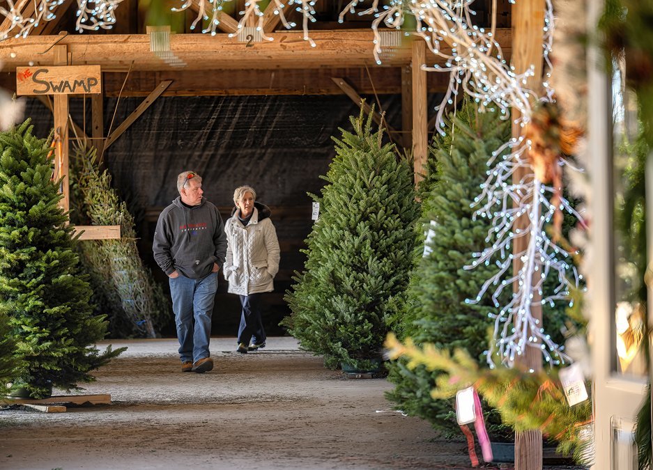 Christmas Trees