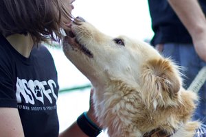 12152024PETCO GRANT