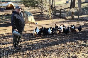 01302025EGGS COST