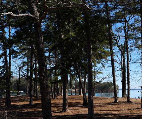 05202025LAKE PARKS
