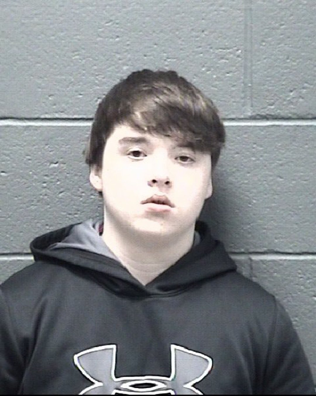 UPDATE Forsyth County teen pleads guilty to killing his mom,