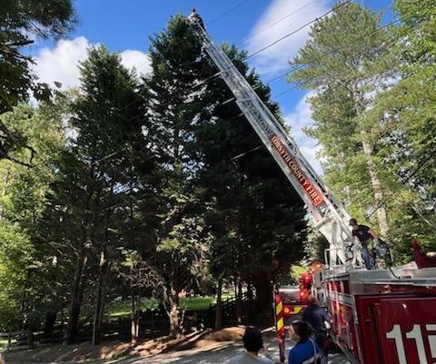 07252025TREE CLIMBER