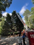 07252025TREE CLIMBER