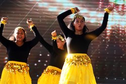 08162025INDIAN MELA