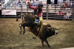 08292025RODEO