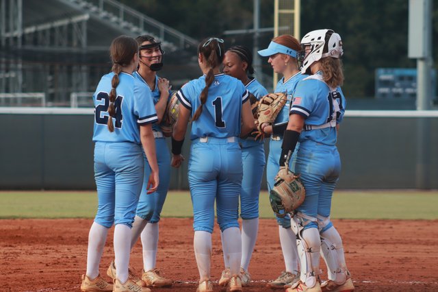 Softball: Danes fall to Greyhounds in non region doubleheader Forsyth