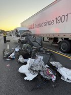 10142025FURKIDS CRASH