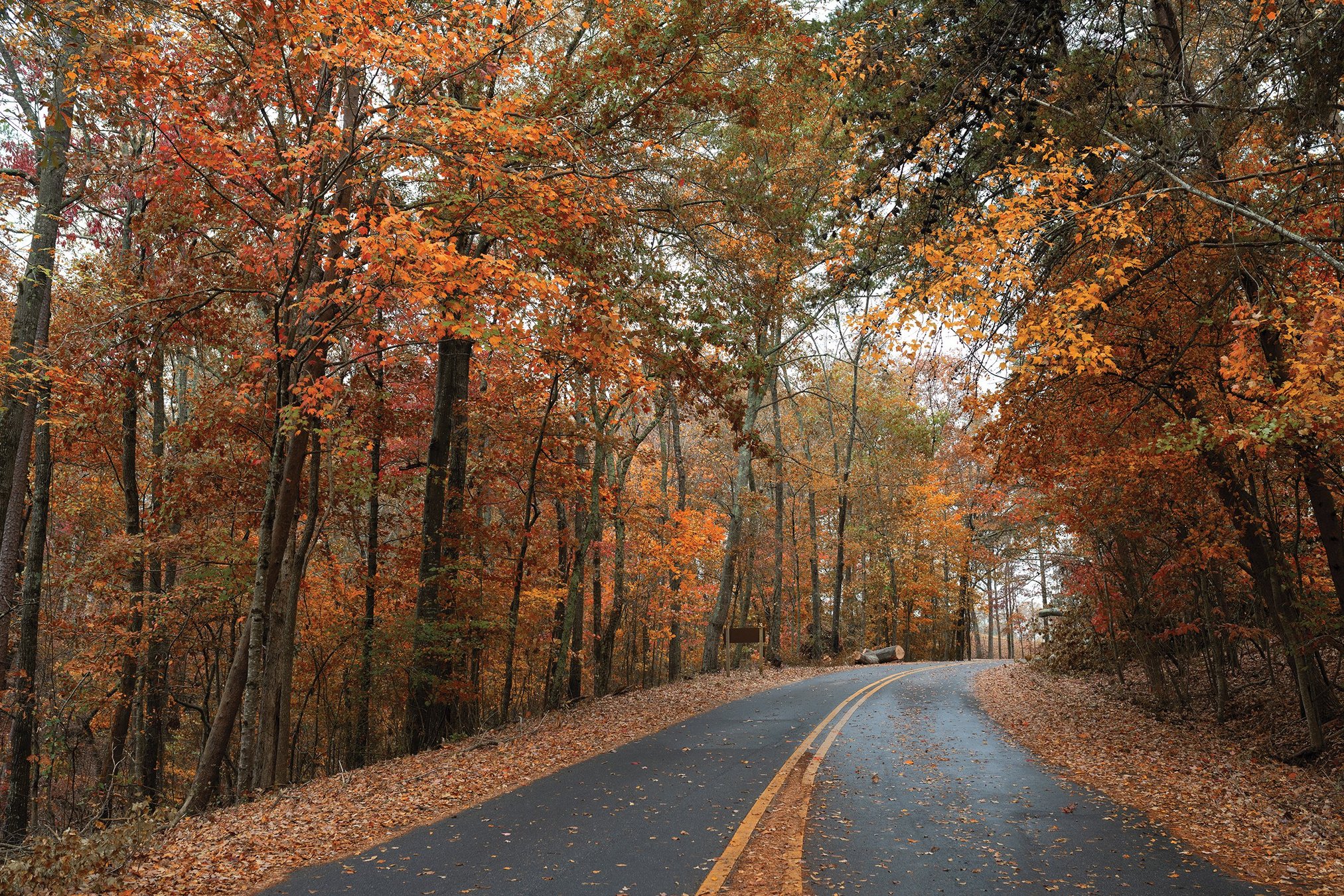 Golden hues and mountain views: 5 breathtaking north Georgia spots for ...