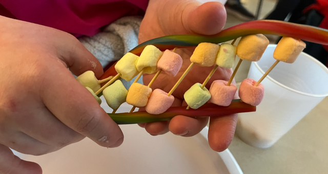 Local high school STEM students bring biology to special education classrooms