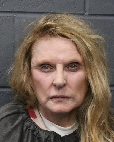 Woman arrested after authorities say she shot a man in west Forsyth ...
