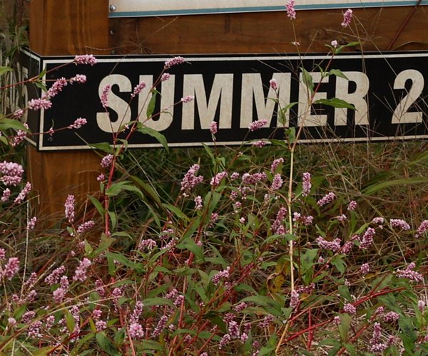 10302025THE GARDEN DISTRICT