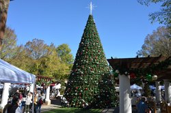 11162024HOLIDAY MARKET 5