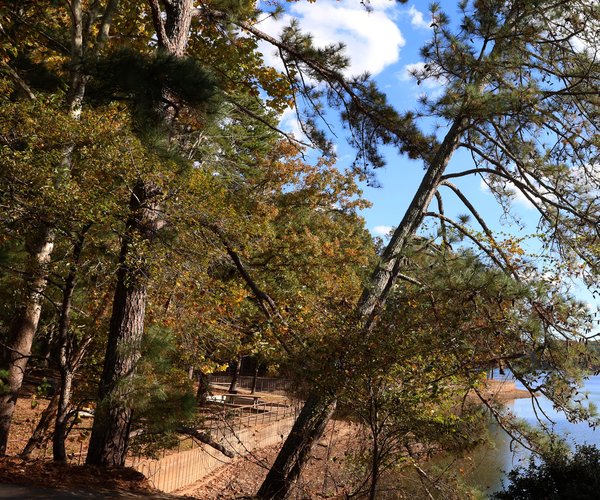 10312025PARKS CLOSED