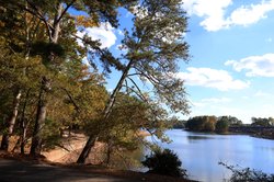 10312025PARKS CLOSED