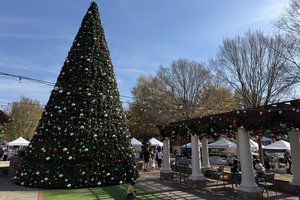 11152025HOLIDAY MARKET