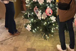 11142025ROOM REDUX TREE