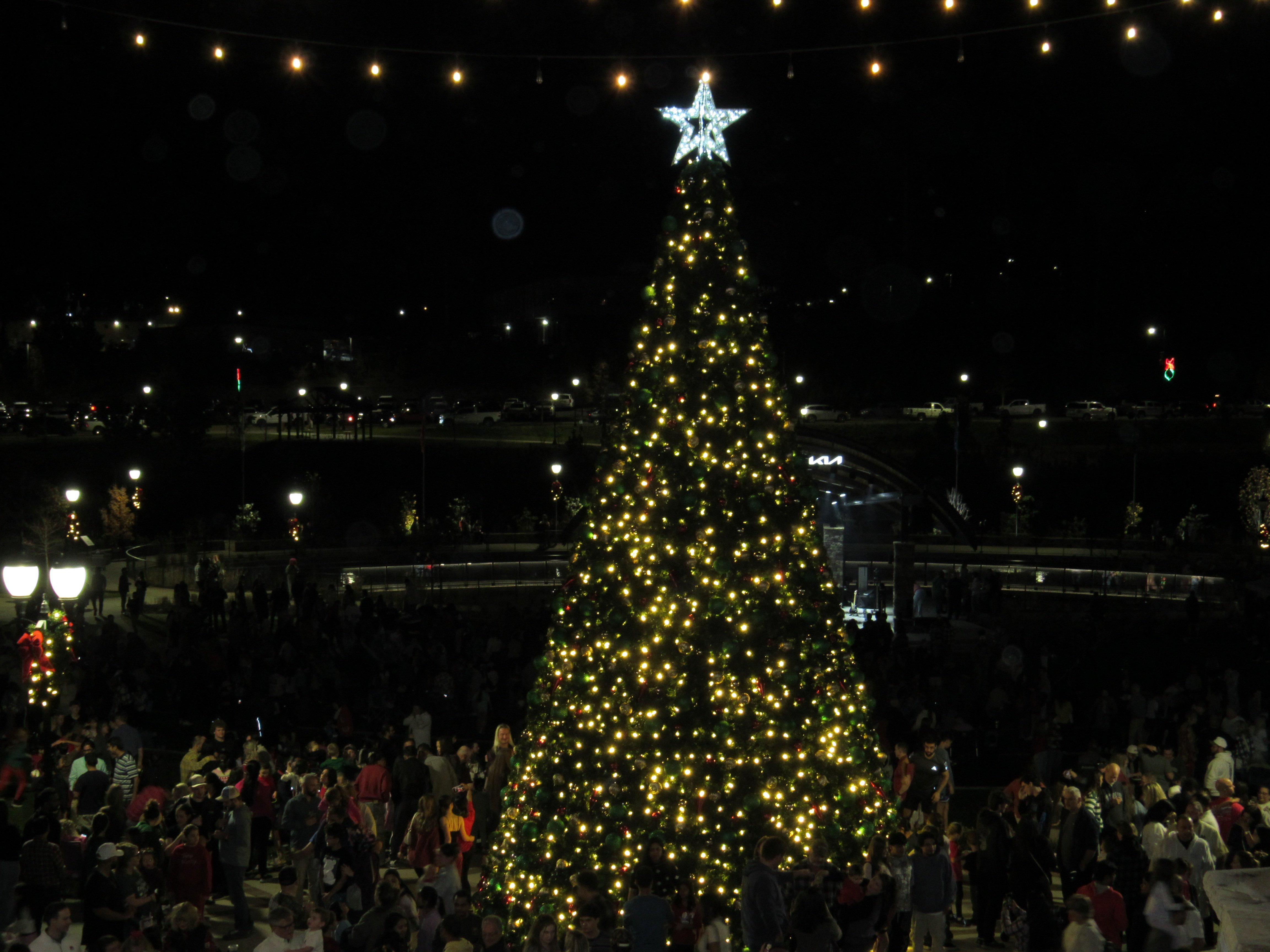 11232025TREE LIGHTING