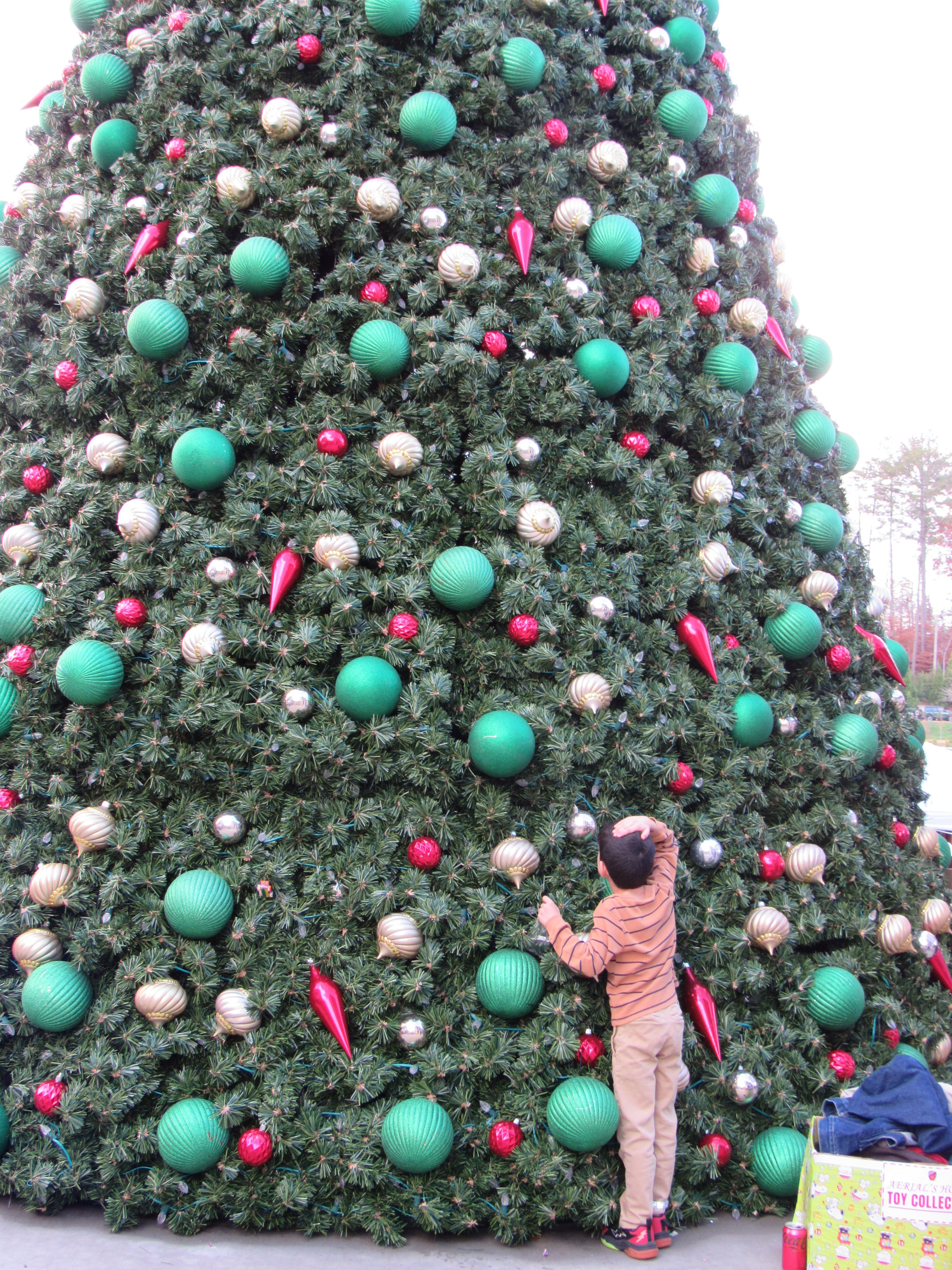 11232025WINTER MARKET