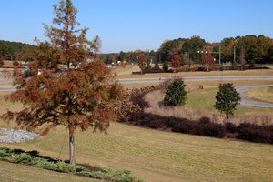 11052025EXIT 12 VS EXIT 13