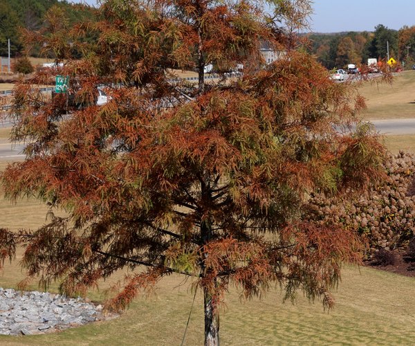 11052025EXIT 12 VS EXIT 13