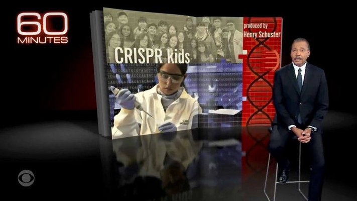 12052025IGEM LAMBERT