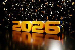 12312025NEW YEAR 2026