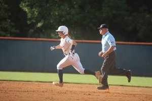 01102026BROOKLYN CORN