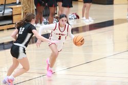 Lambert girls basketball 25