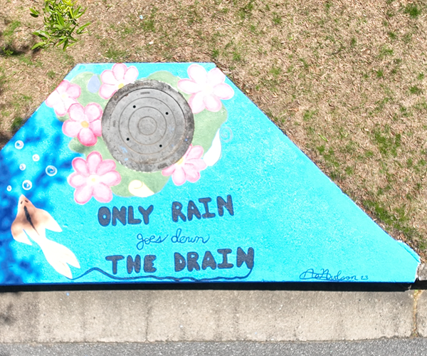 2023 Storm Drain Art winner