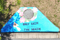 2023 Storm Drain Art winner