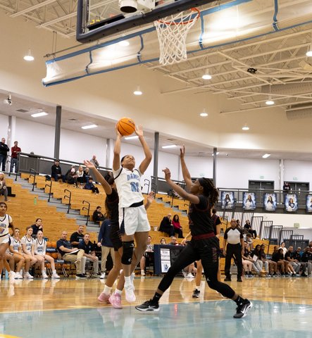 Basketball: Denmark girls dominate Alpharetta; boys unable to end region skid