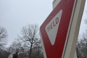 01252026GRACES FERN PHOTOS