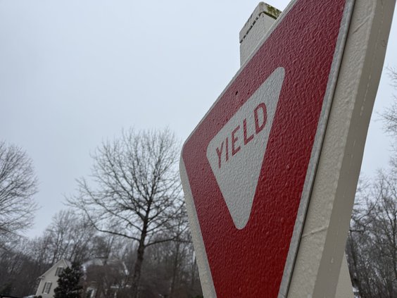 01252026GRACES FERN PHOTOS