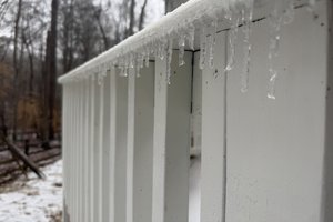 01252026GRACES FERN PHOTOS