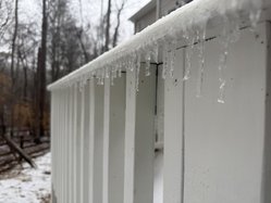 01252026GRACES FERN PHOTOS