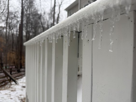 01252026GRACES FERN PHOTOS