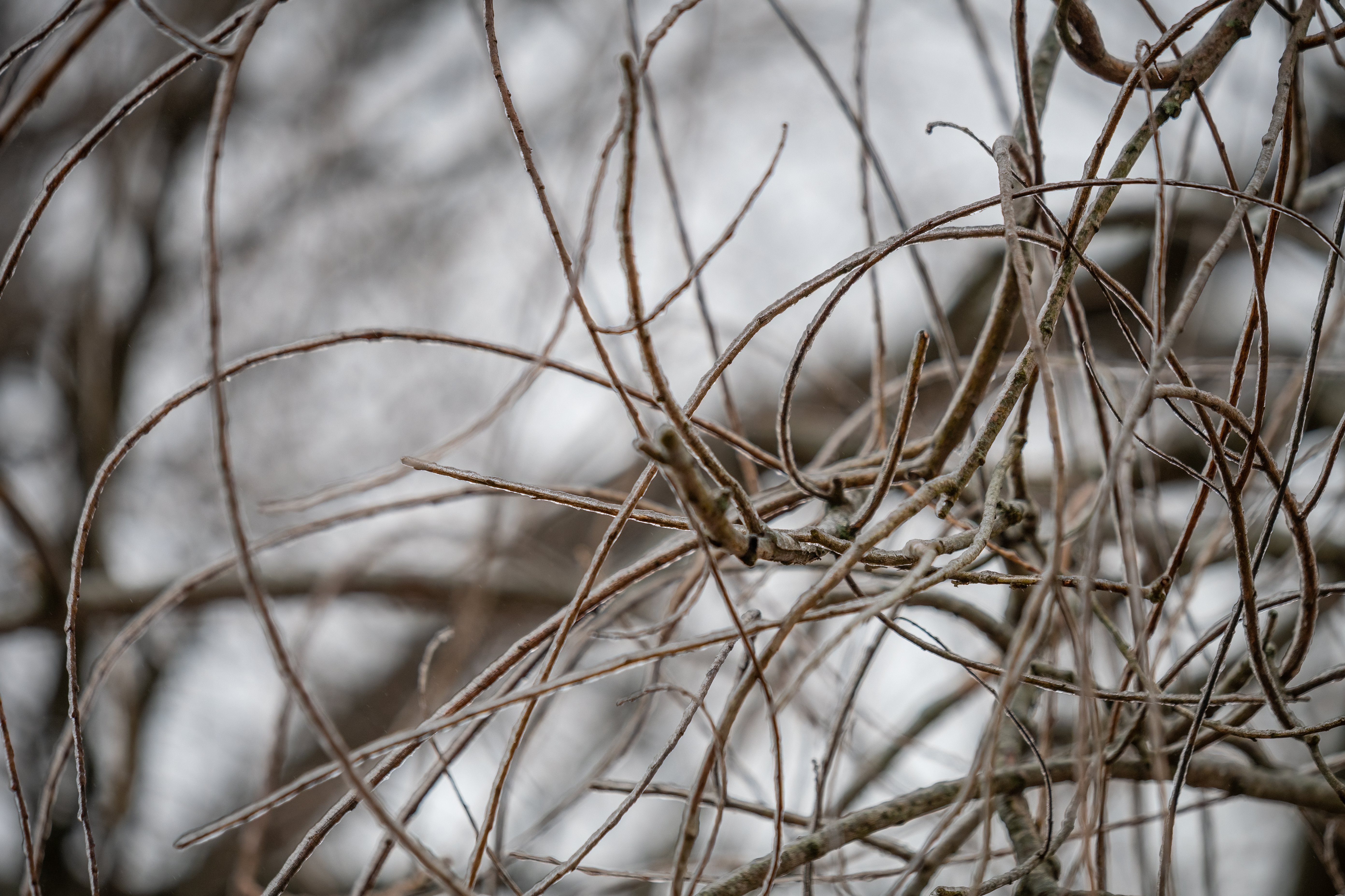 01252026WINTER STORM FERN