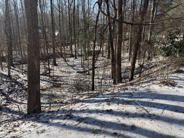 Forsyth County dodges worst of Winter Storm Fern, ready to get back to business